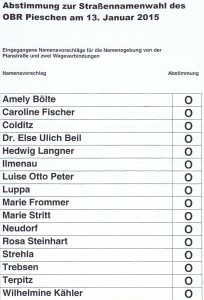 Abstimmungsliste. Quelle: privat.